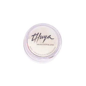 Thuya Peinture Décoration Pigment Pur