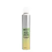 Eva Professional Écolack 400 ml
