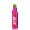 Salerm Straightening Champô 250ml