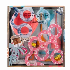 Framar Colorist Kit Baecation