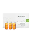 Anubis Regul Oil Concentrate Équilibr+ 6 x 5 ml